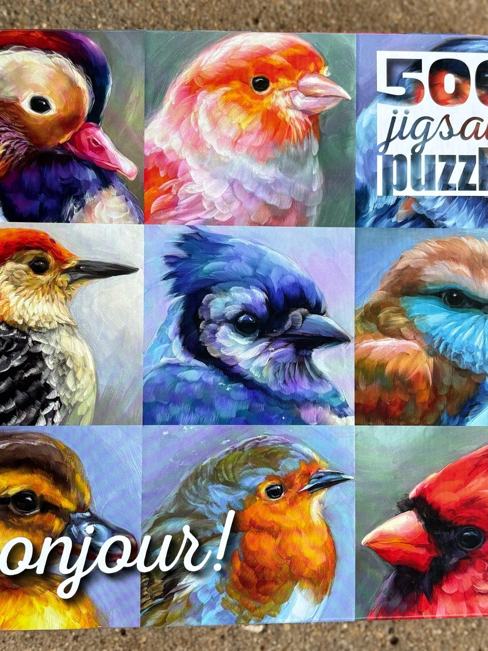 Bonjour Buffalo Birds 500 PiecePuzzle - Multicolor Jigsaw for Pets & Bird Lovers